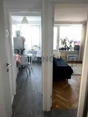 1 ����. ��������, 29/16/5 ��. �., 7/9 ���� ���� 5
