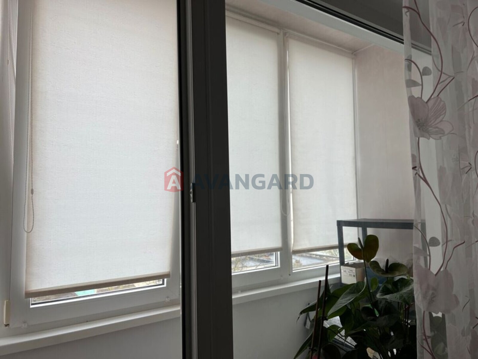 2 ��. ��������, 48/-/5 ��. �., 5/5 ������ ���� 21