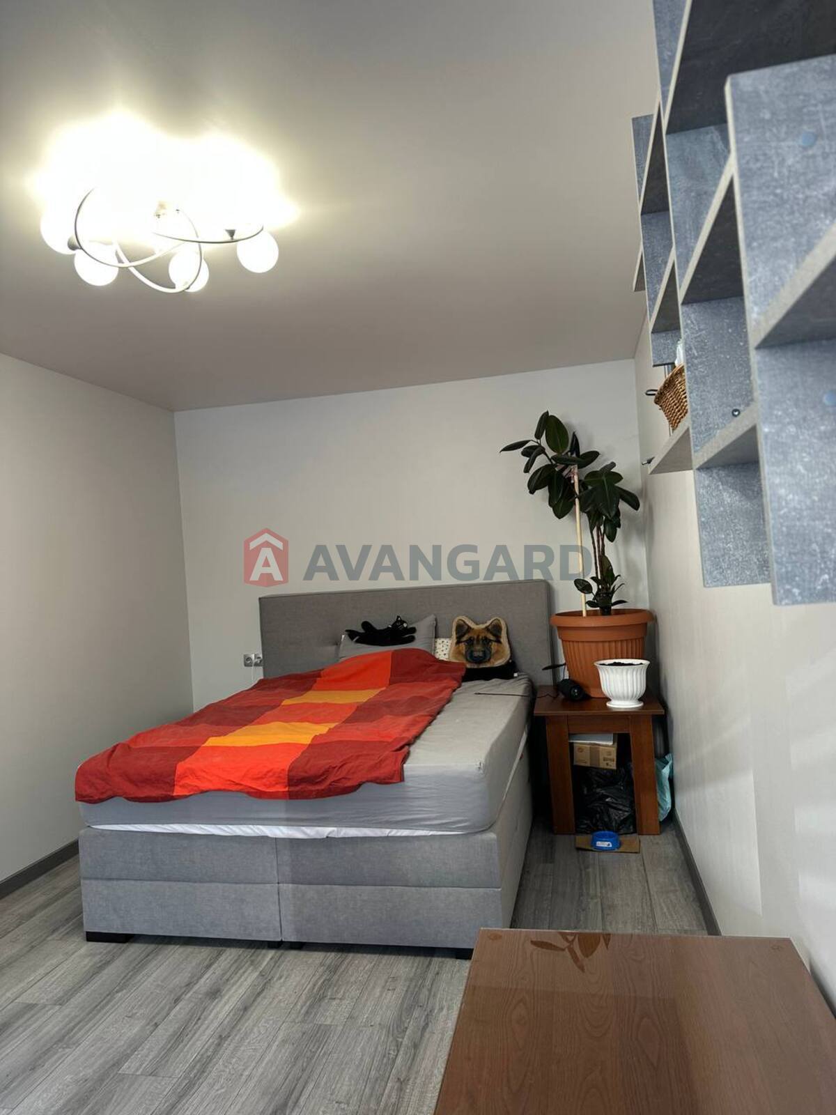 2 ��. ��������, 60/50/5 ��. �., 1/5 ������ ���� 2