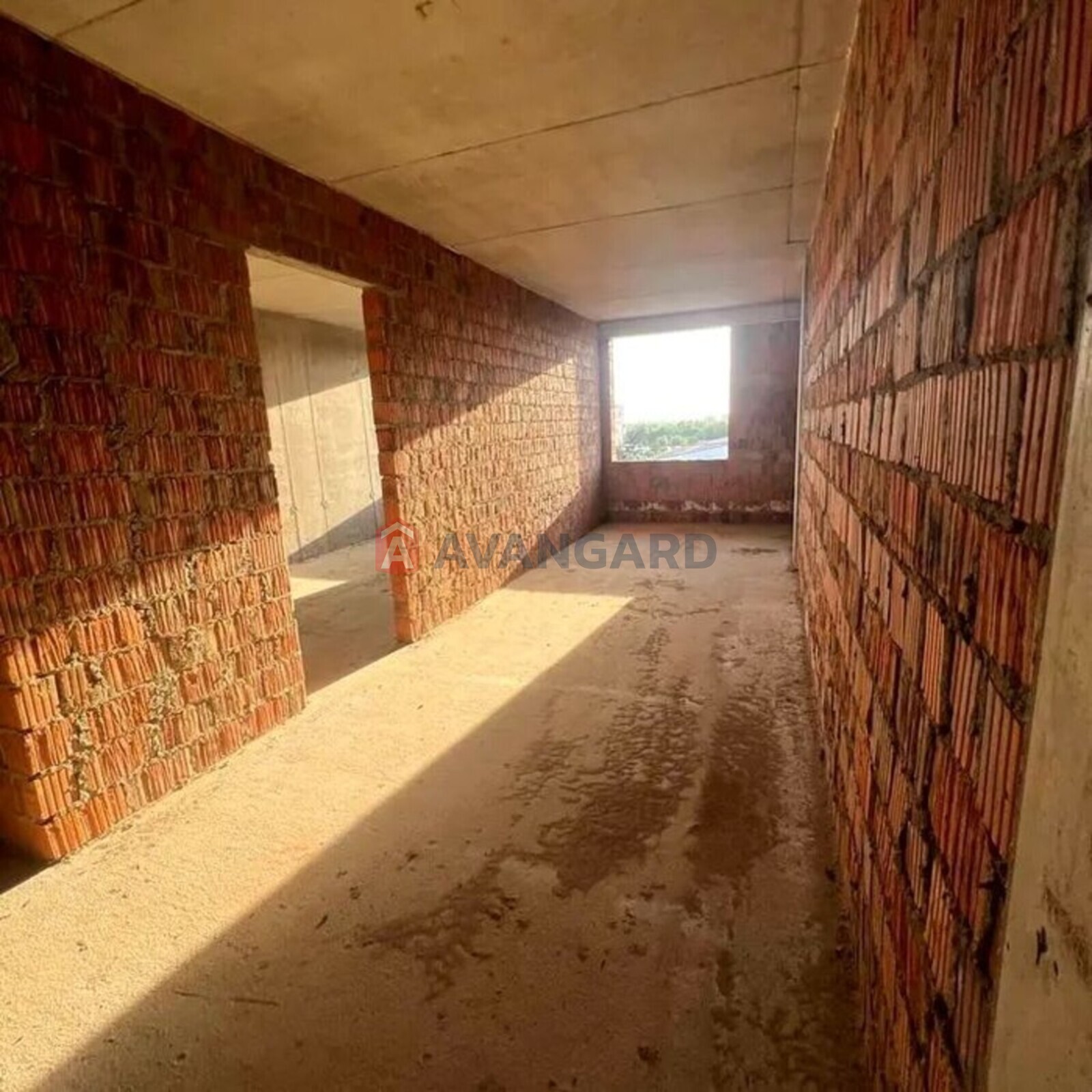 2 ��. ��������, 49,5/-/16 ��. �., 2/12 ������ ���� 2