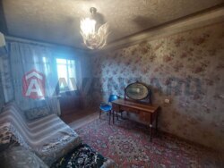 2 . , 50.4/-/8 . ., 6/10   17