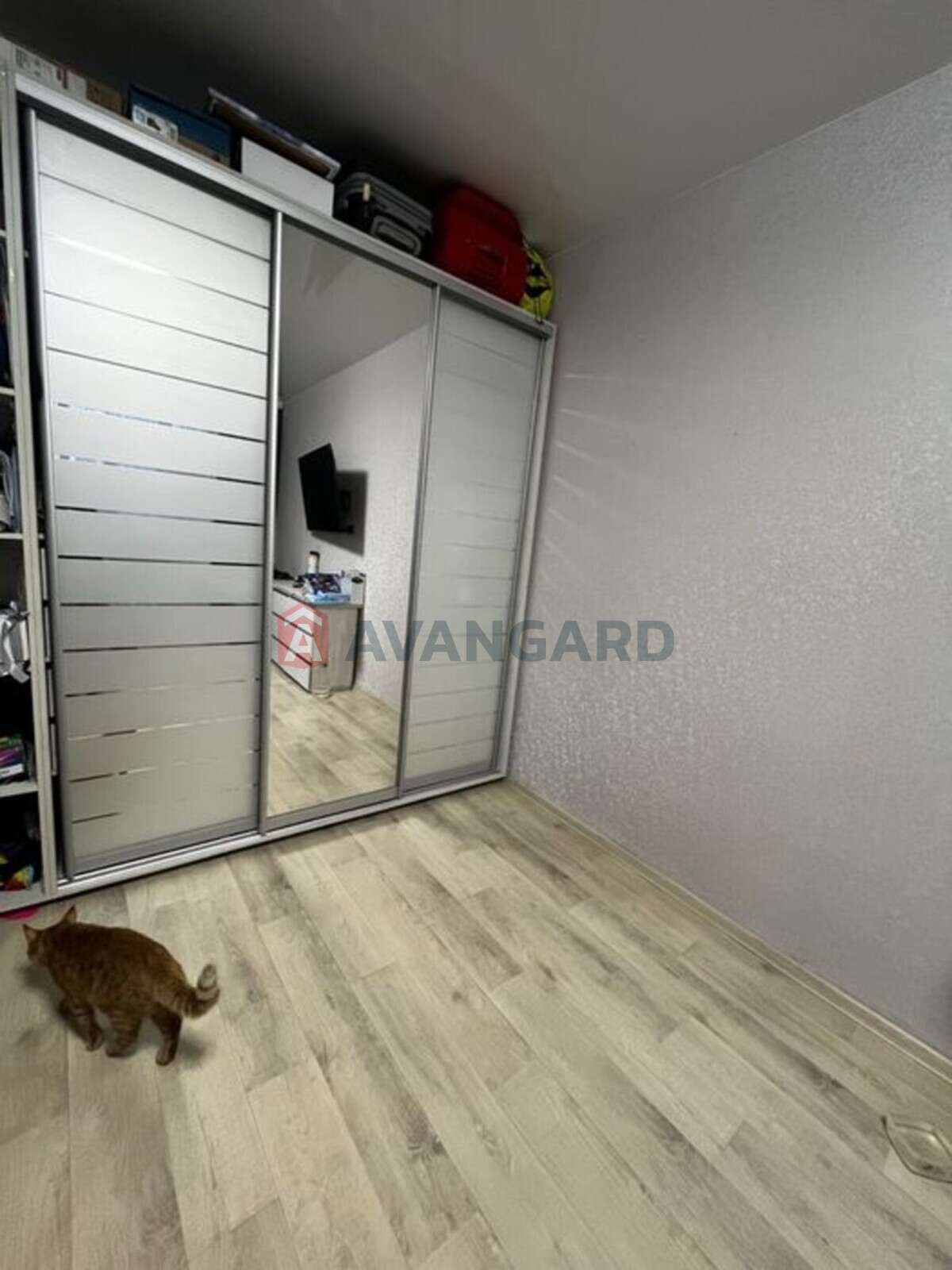 2 ��. ��������, 49/-/5 ��. �., 4/4 ������ ���� 5