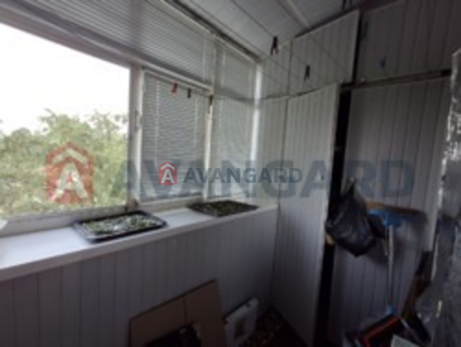 3 ��. ��������, 69/-/9 ��. �., 7/9 ������ ���� 17