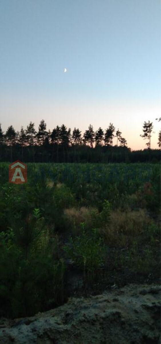 2 ��. ��������, 81/-/20 ��. �., 3/6 ������ ���� 13