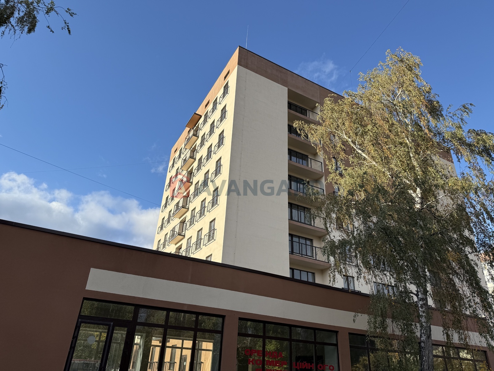 2 . , 49,6/32,2/20,8 . ., 6/9   10