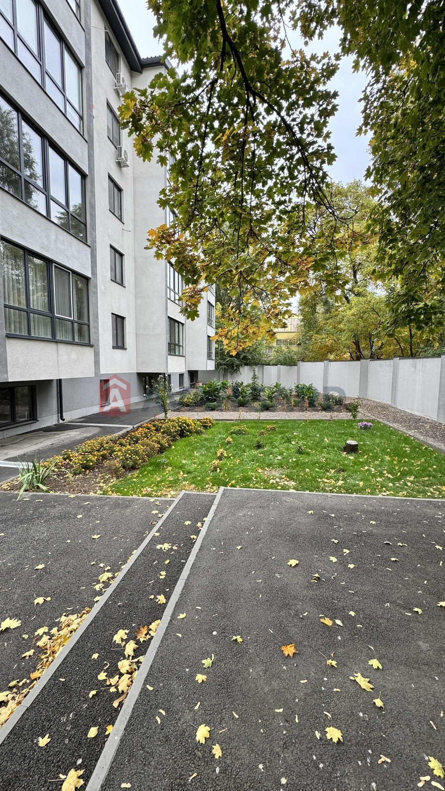 1 ��. ��������, 41/-/20 ��. �., 4/5 ������ ���� 15