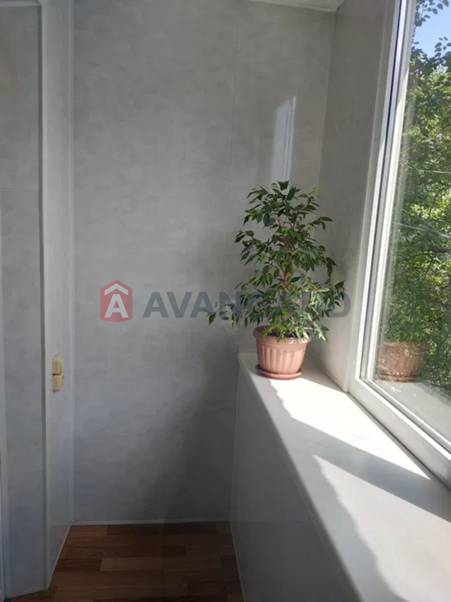 2 ��. ��������, 44/-/6 ��. �., 3/5 ������ ���� 8