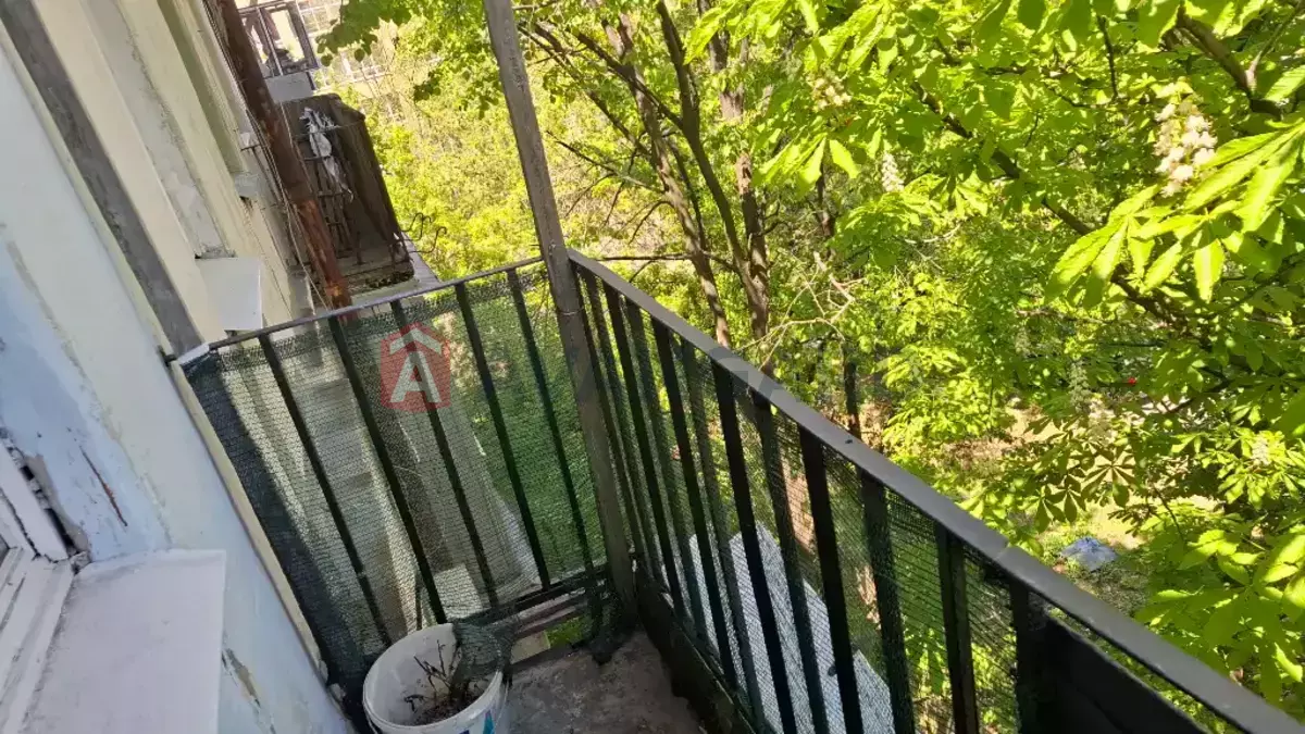 1 ��. ��������, 30/17/6 ��. �., 5/5 ������ ���� 15