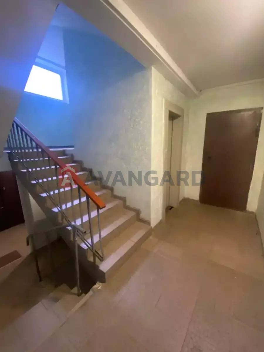 3 ����. ��������, 65/-/8 ��. �., 3/9 ���� ���� 16