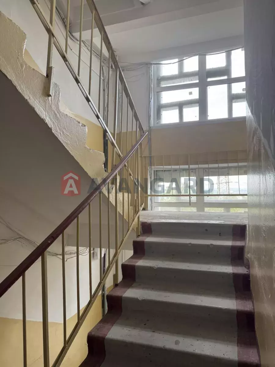 3 ��. ��������, 67/-/10 ��. �., 4/9 ������ ���� 5