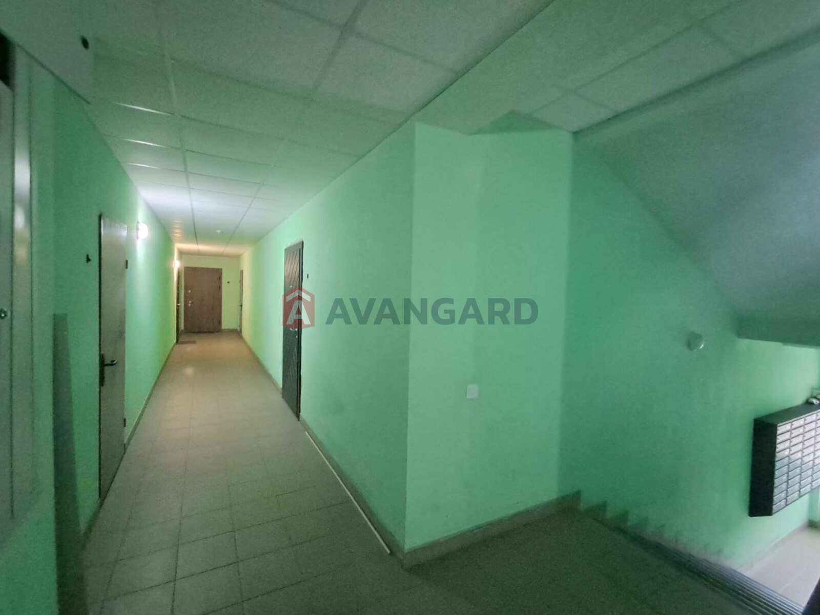 1 ��. ��������, 36/14/9 ��. �., 1/5 ������ ���� 18