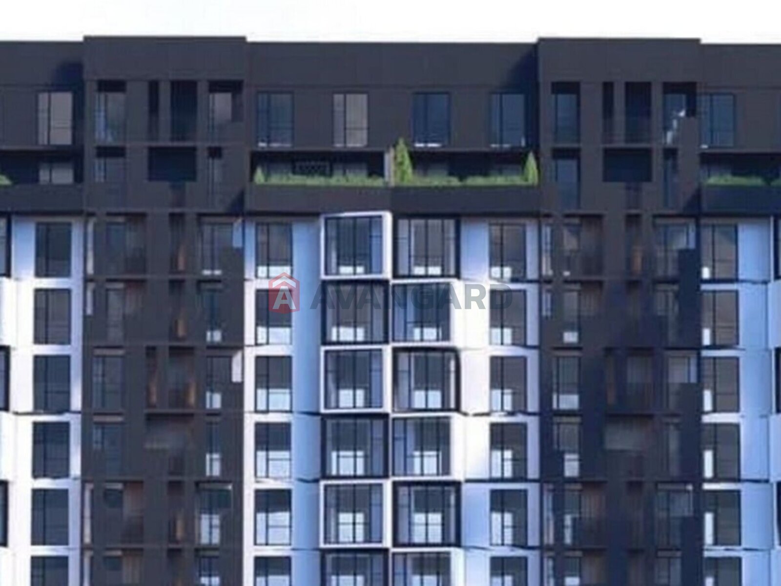 2 ��. ��������, 63/-/- ��. �., 10/10 ������ ���� 2