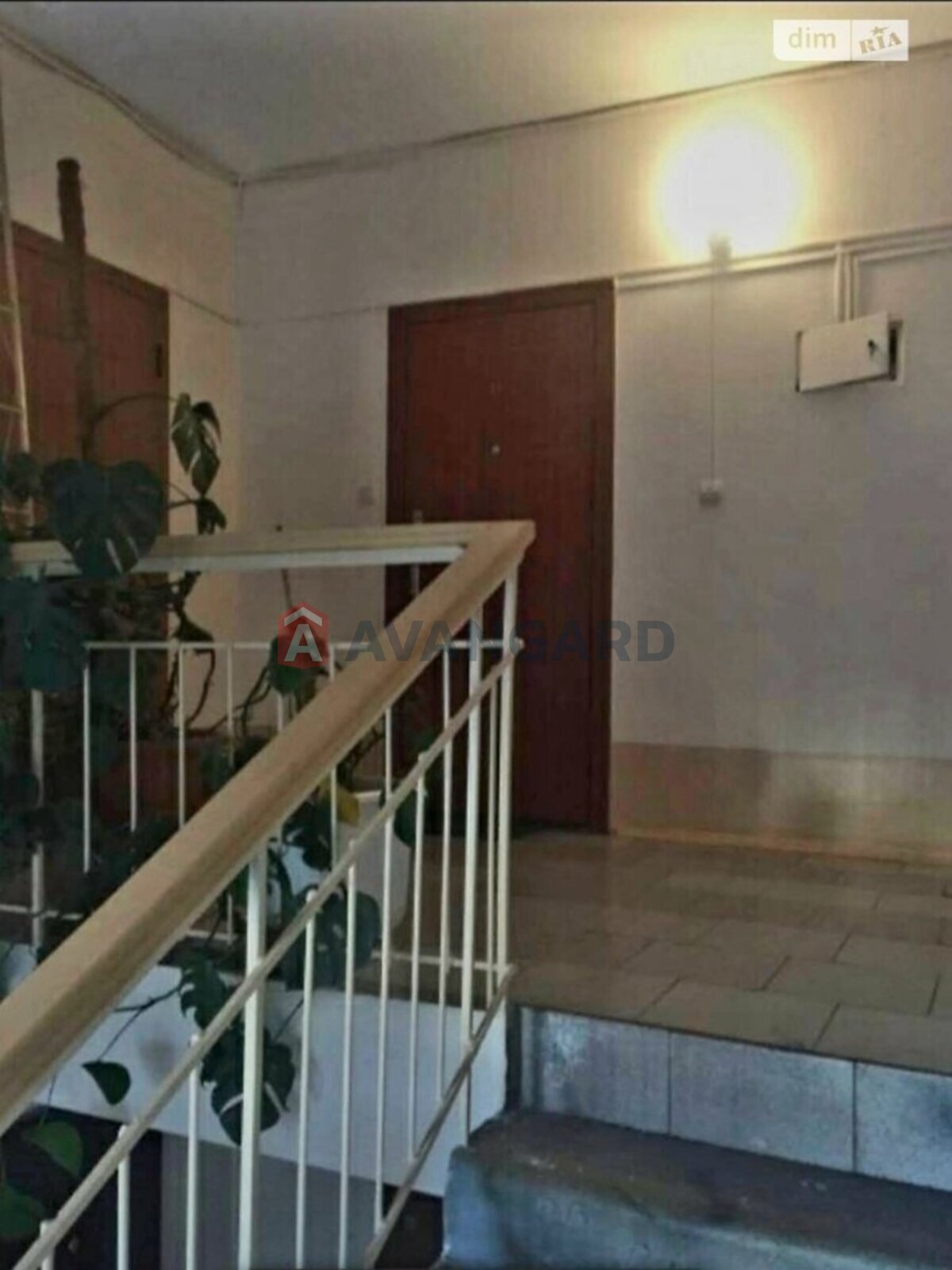 1 ��. ��������, 44/18/- ��. �., 6/6 ������ ���� 4