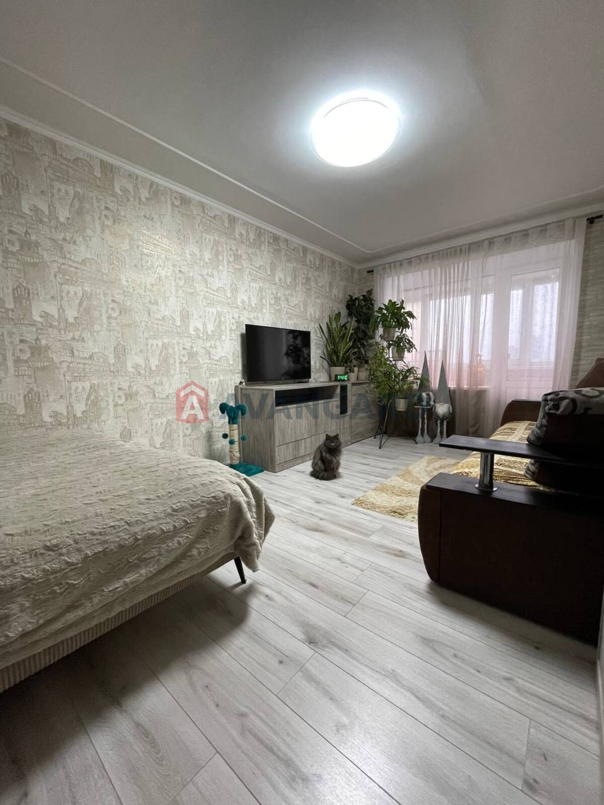 2 ����. ��������, 45,5/28,5/6,5 ��. �., 9/9 ���� ���� 1