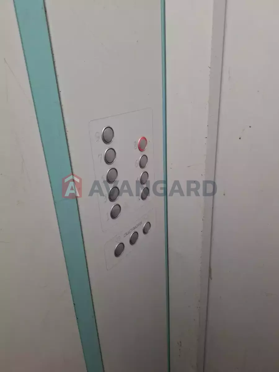 1 ��. ��������, 23/-/6 ��. �., 8/9 ������ ���� 5