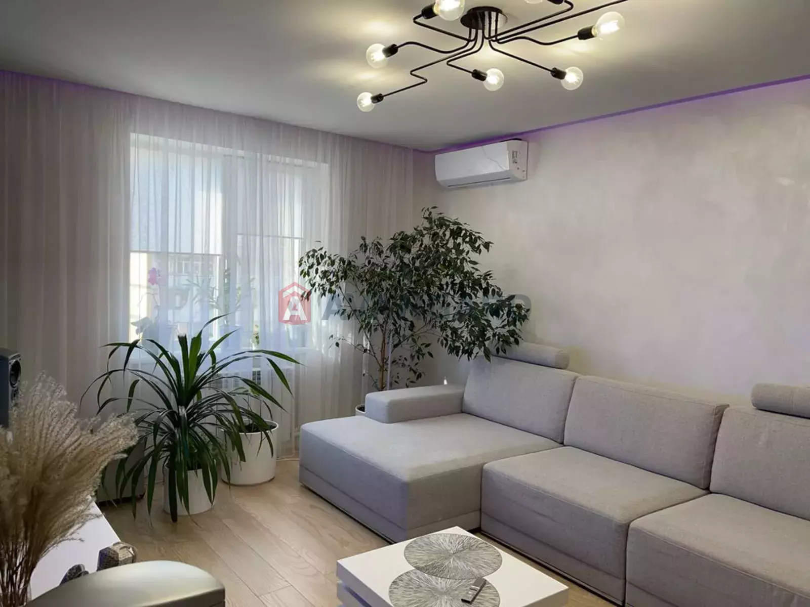 3 ����. ��������, 67/-/8 ��. �., 7/9 ���� ���� 1