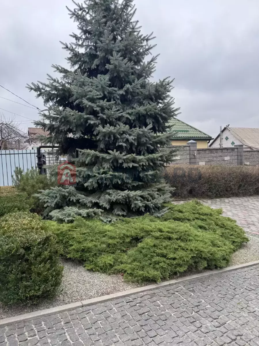 3 ��. ��������, 94/90/- ��. �., 5/8 ������ ���� 5