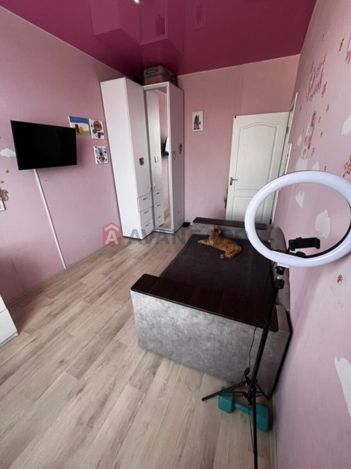 2 ��. ��������, 49/-/5 ��. �., 4/4 ������ ���� 3