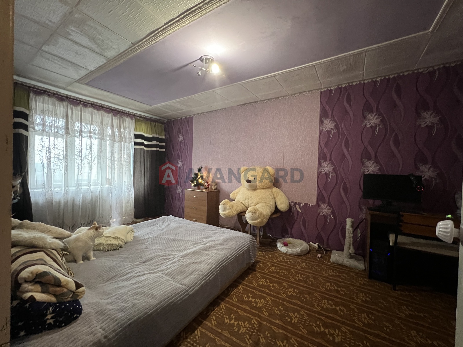 1 ��. ��������, 30/-/5 ��. �., 4/5 ������ ���� 1