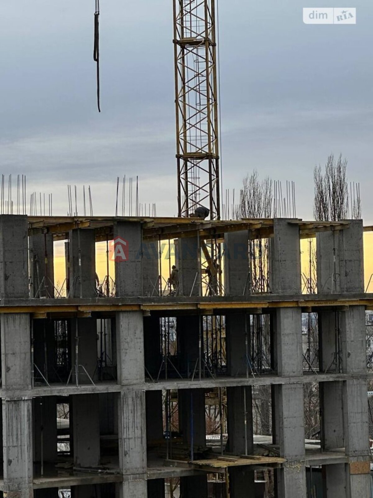 2 ��. ��������, 76/-/- ��. �., 7/10 ������ ���� 16