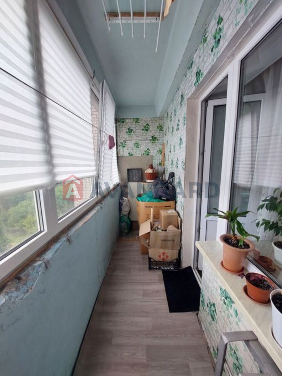 1 ��. ��������, 29/-/6 ��. �., 8/10 ������ ���� 4