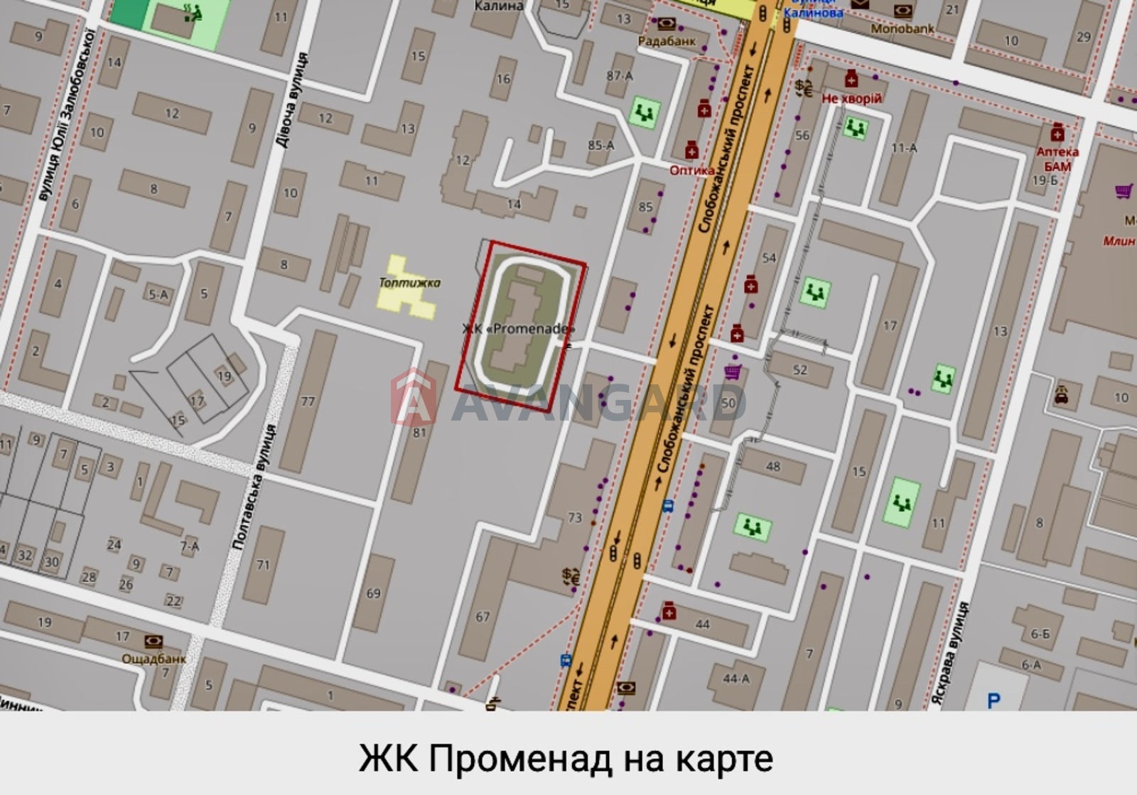 1 ��. ��������, 40,3/33,5/8 ��. �., 8/10 ������ ���� 1