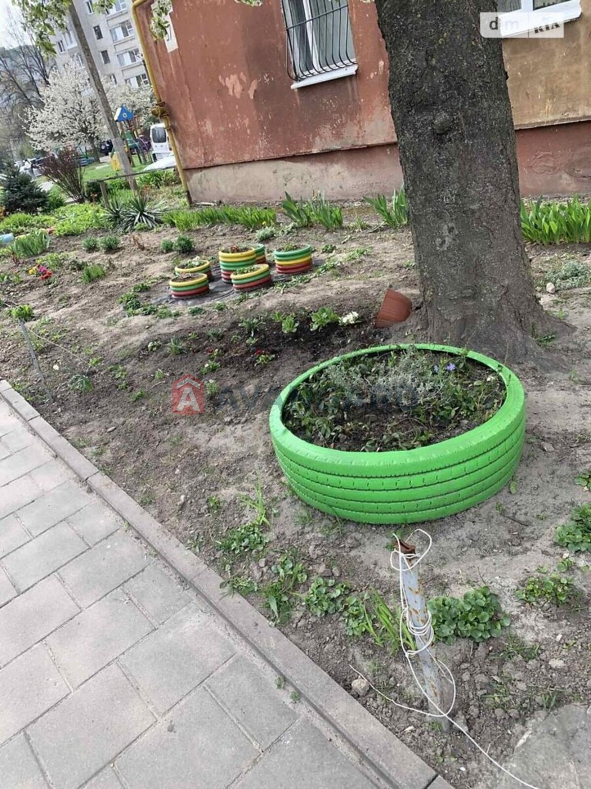 2 ��. ��������, 49/-/- ��. �., 3/9 ������ ���� 12