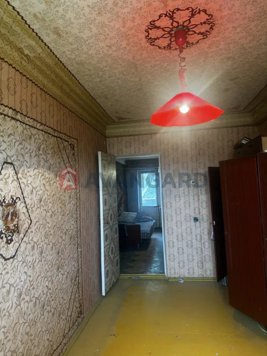 2 ����. ��������, 44/-/6 ��. �., 5/5 ���� ���� 1