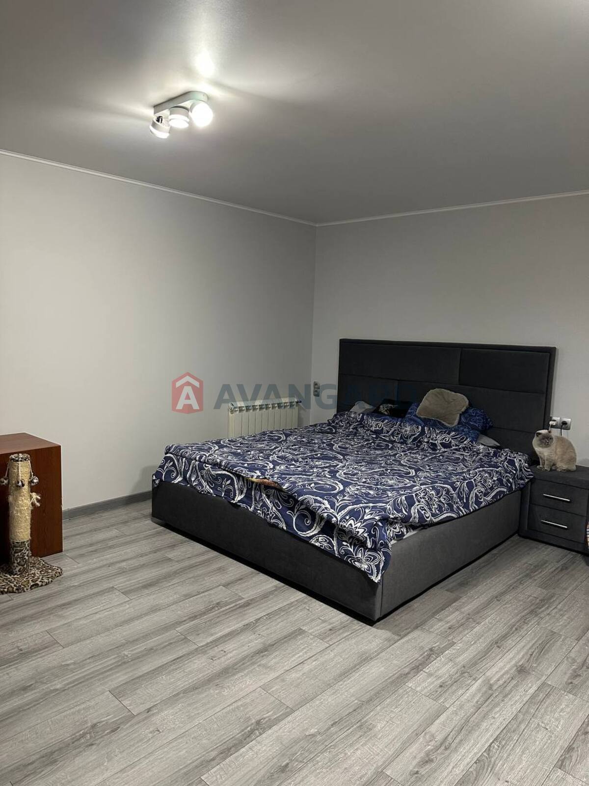 2 ��. ��������, 60/50/5 ��. �., 1/5 ������ ���� 12