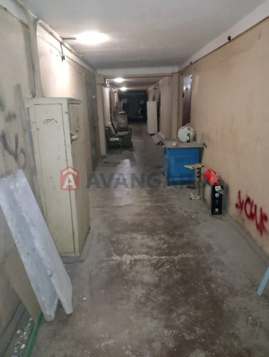 3 . , 50/36/5 . ., 5/5   13