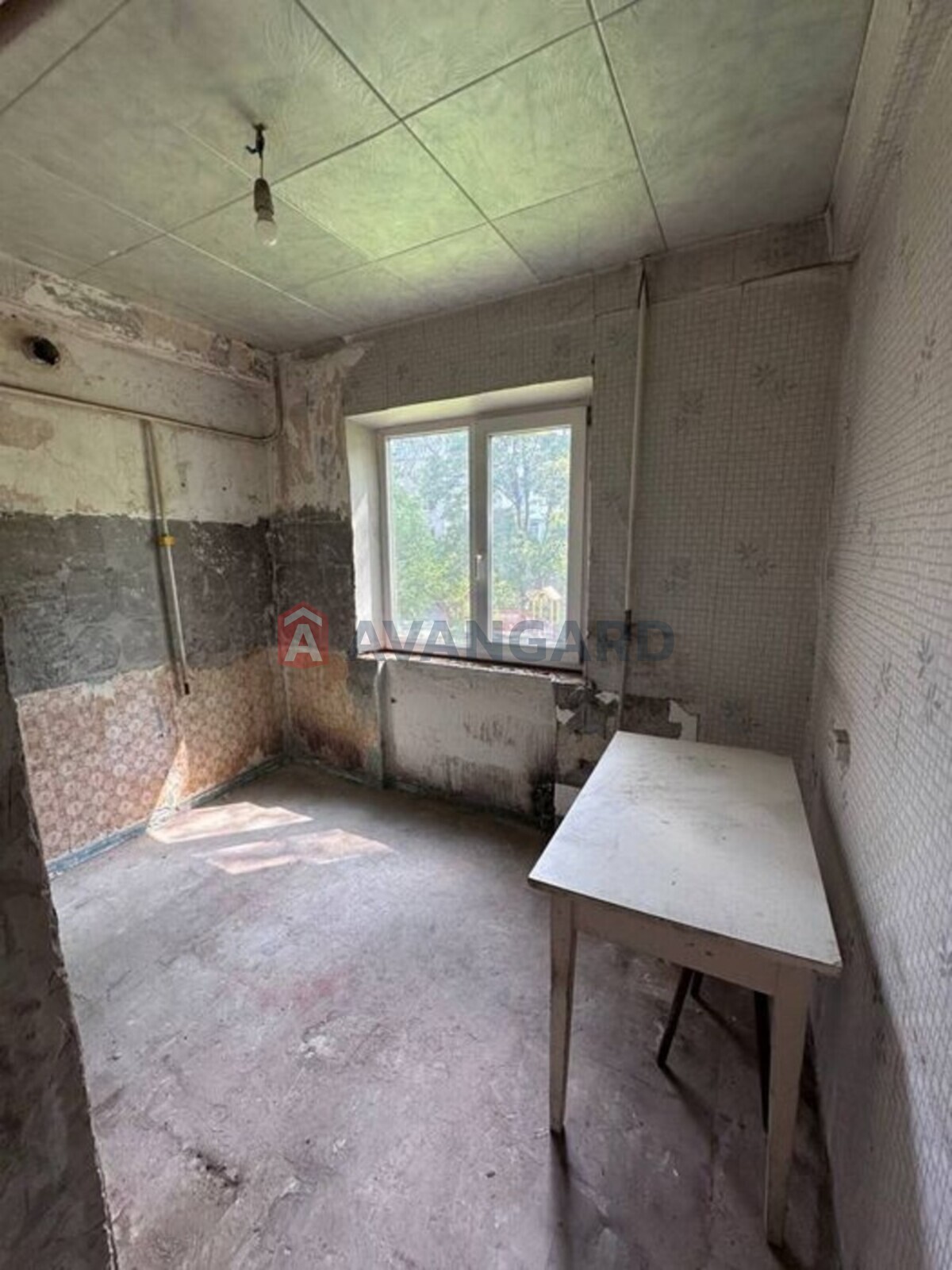 1 ����. ��������, 30/-/1 ��. �., 1/5 ���� ���� 4