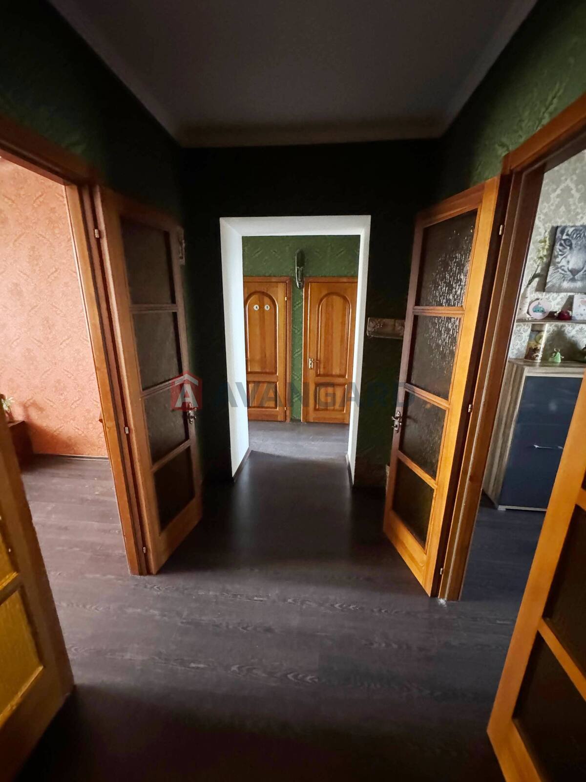 3 ����. ��������, 74/-/8 ��. �., 7/7 ���� ���� 3