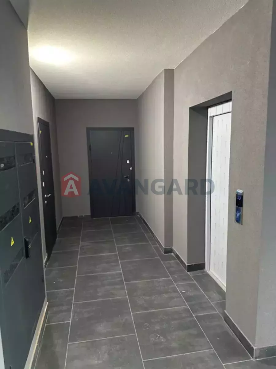 3 ��. ��������, 100/-/11 ��. �., 6/9 ������ ���� 12