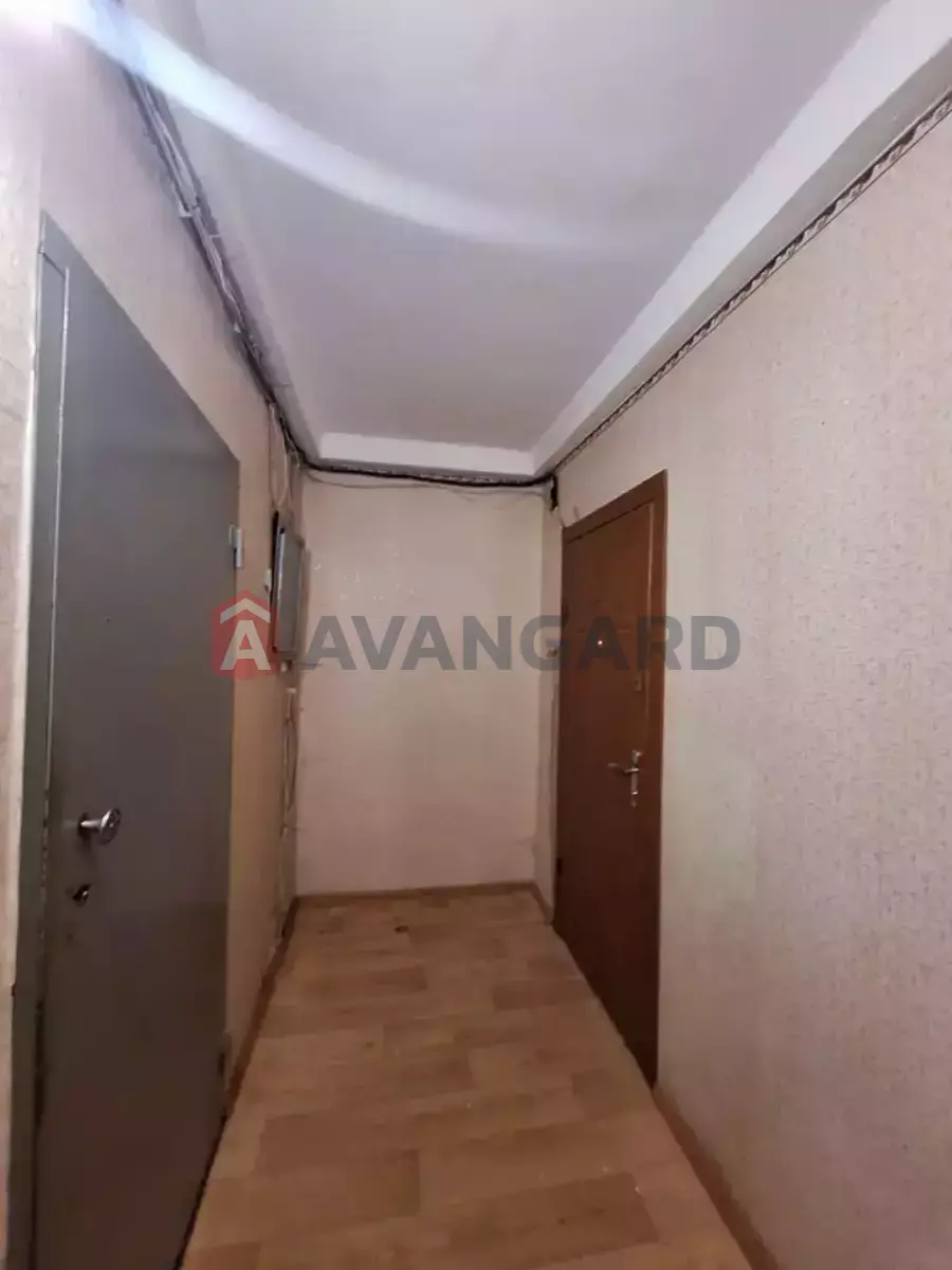 4 ����. ��������, 81/48/10 ��. �., 5/9 ���� ���� 6