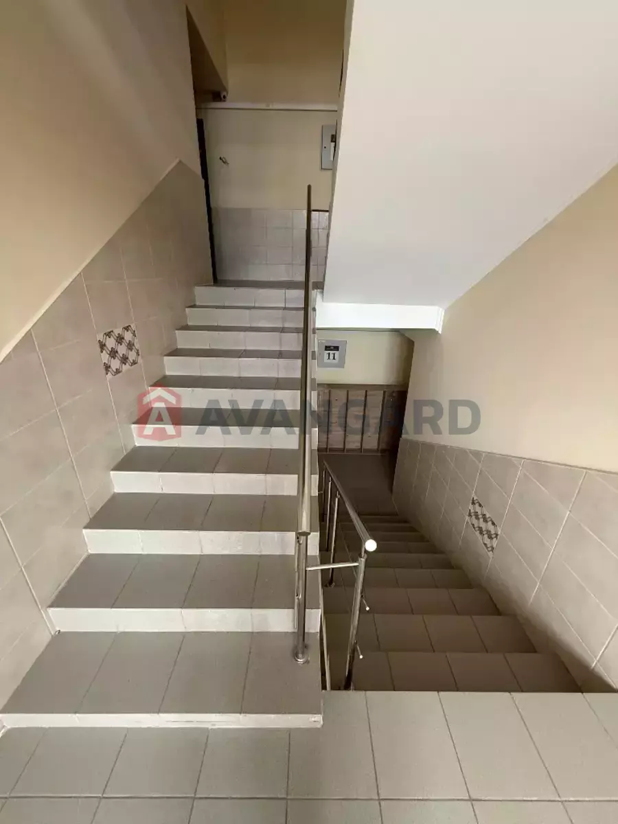 2 ��. ��������, 54/-/29 ��. �., 11/12 ������ ���� 15