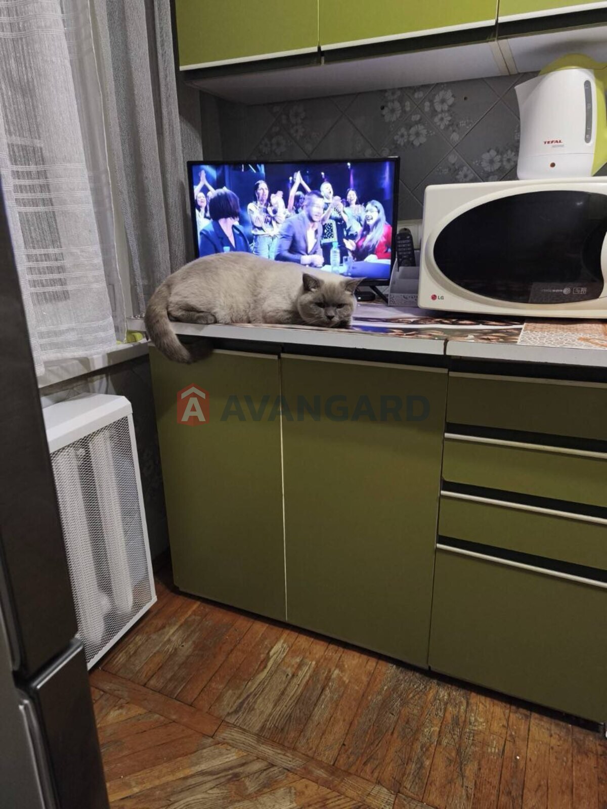 1 ����. ��������, 45,2/-/7,9 ��. �., 2/10 ���� ���� 5