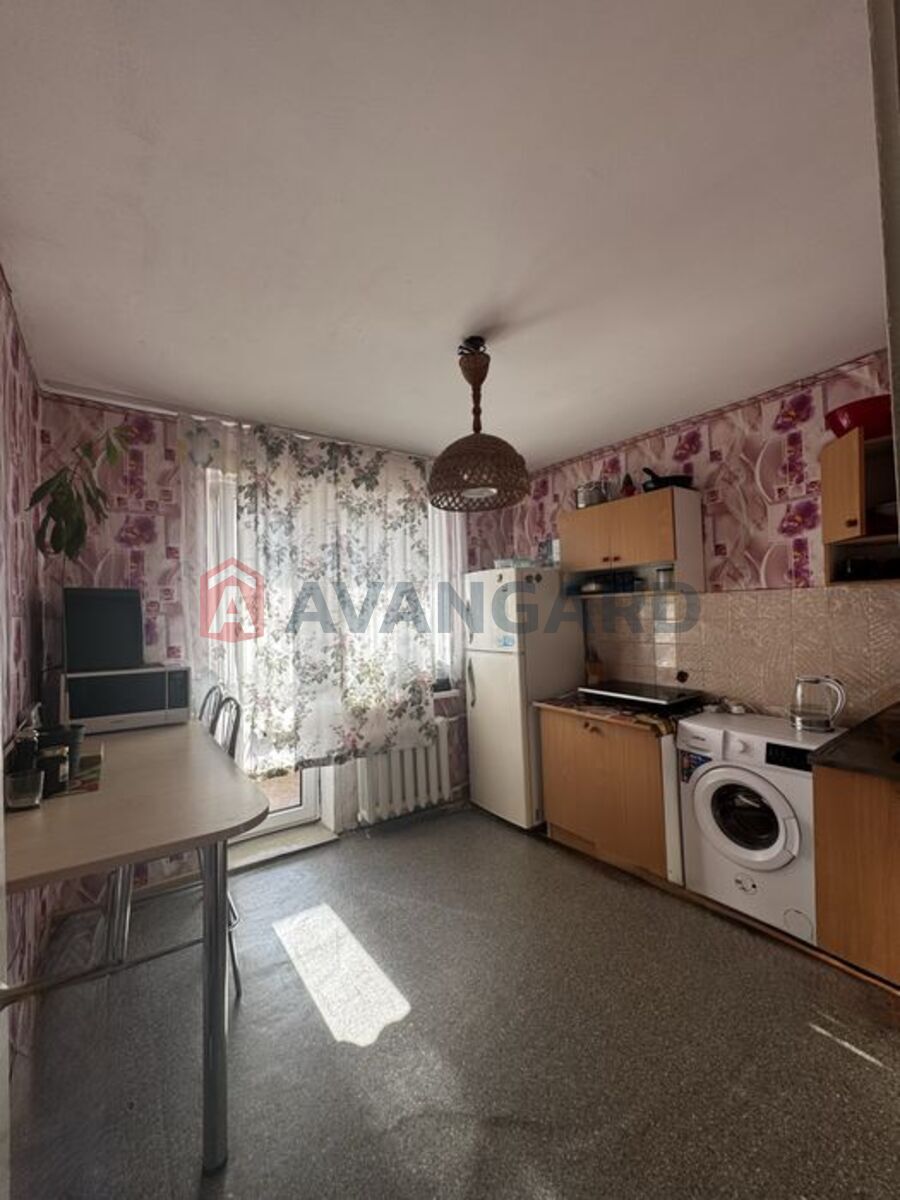 1 ����. ��������, 36/-/8 ��. �., 16/16 ���� ���� 8