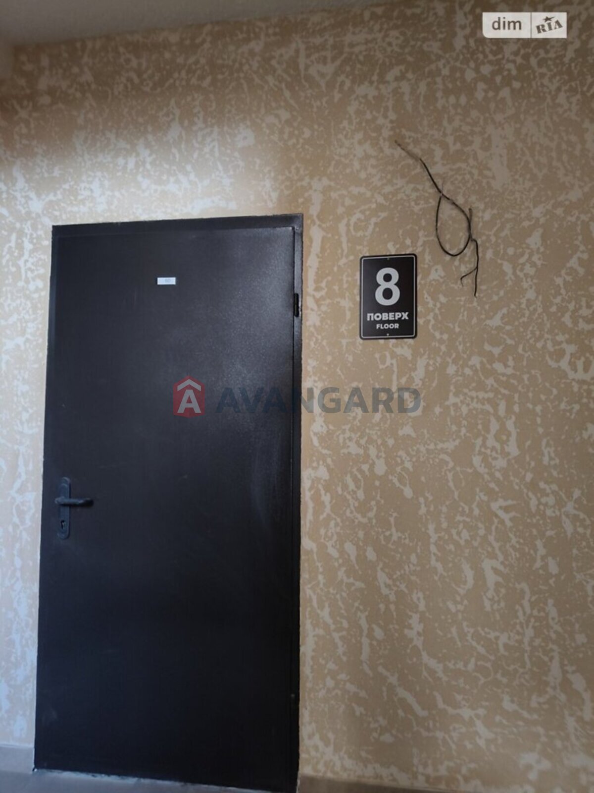 2 ��. ��������, 74/-/25 ��. �., 8/12 ������ ���� 2