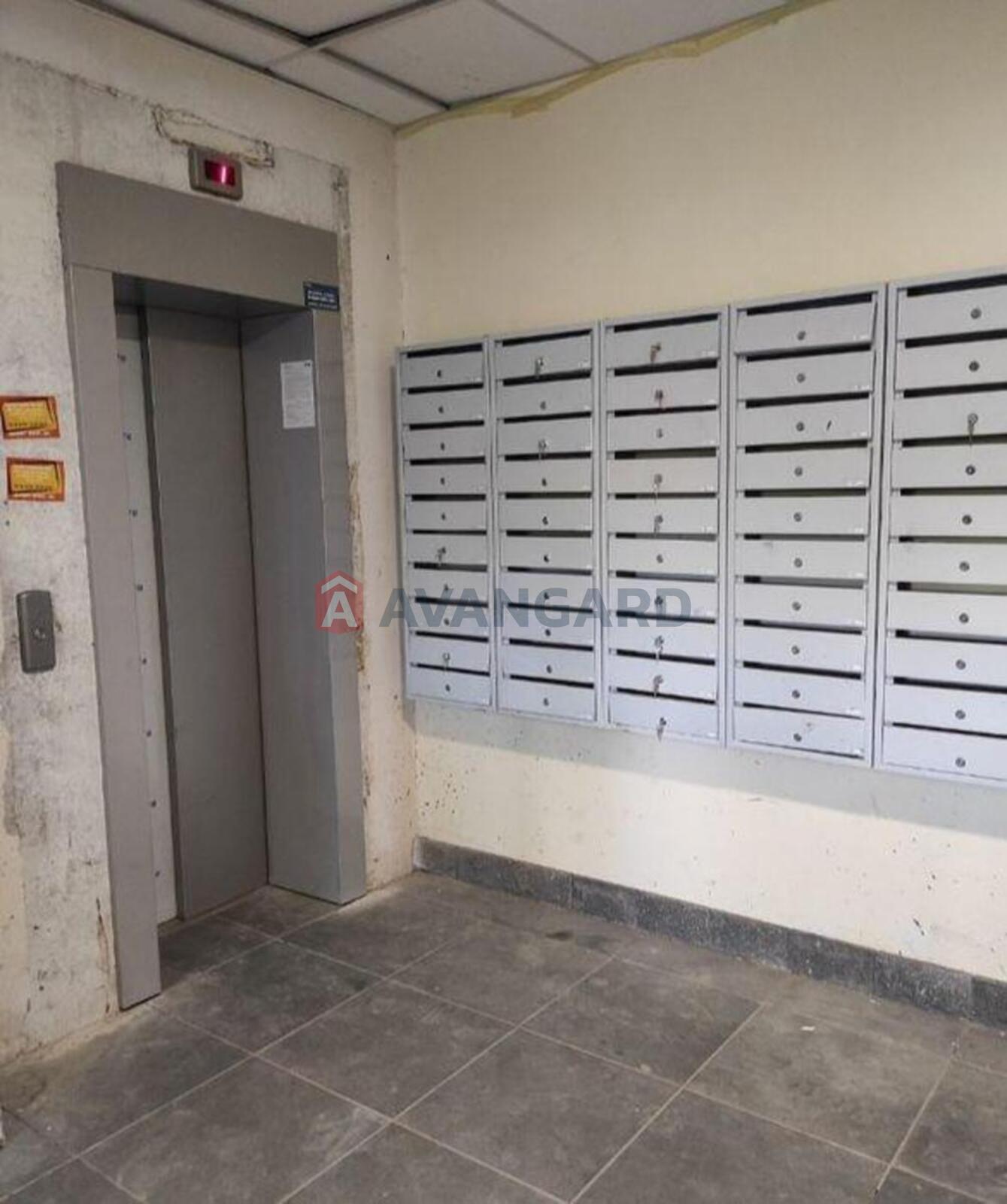 2 ��. ��������, 51/-/8 ��. �., 3/25 ������ ���� 3