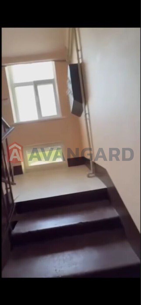 3 ����. ��������, 51/-/5 ��. �., 5/5 ���� ���� 3