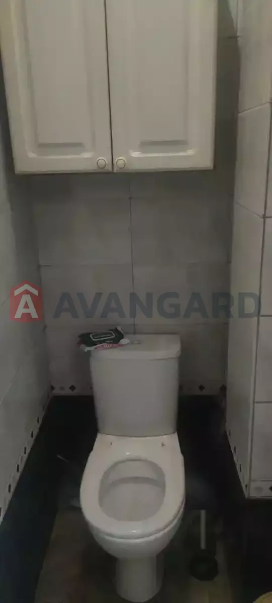 3 ��. ��������, 87/-/- ��. �., 2/4 ������ ���� 11