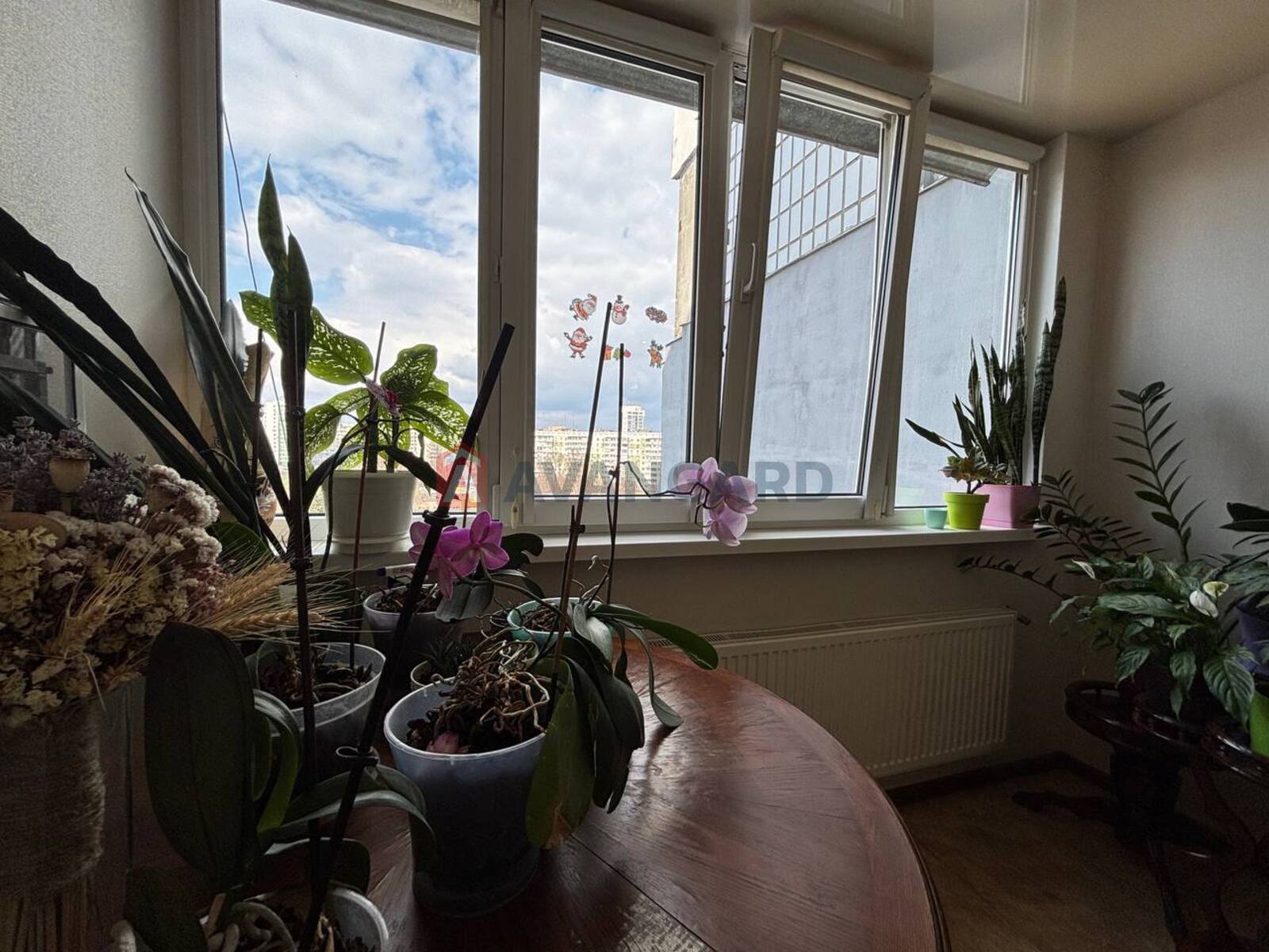 3 ��. ��������, 65/-/- ��. �., 8/10 ������ ���� 6