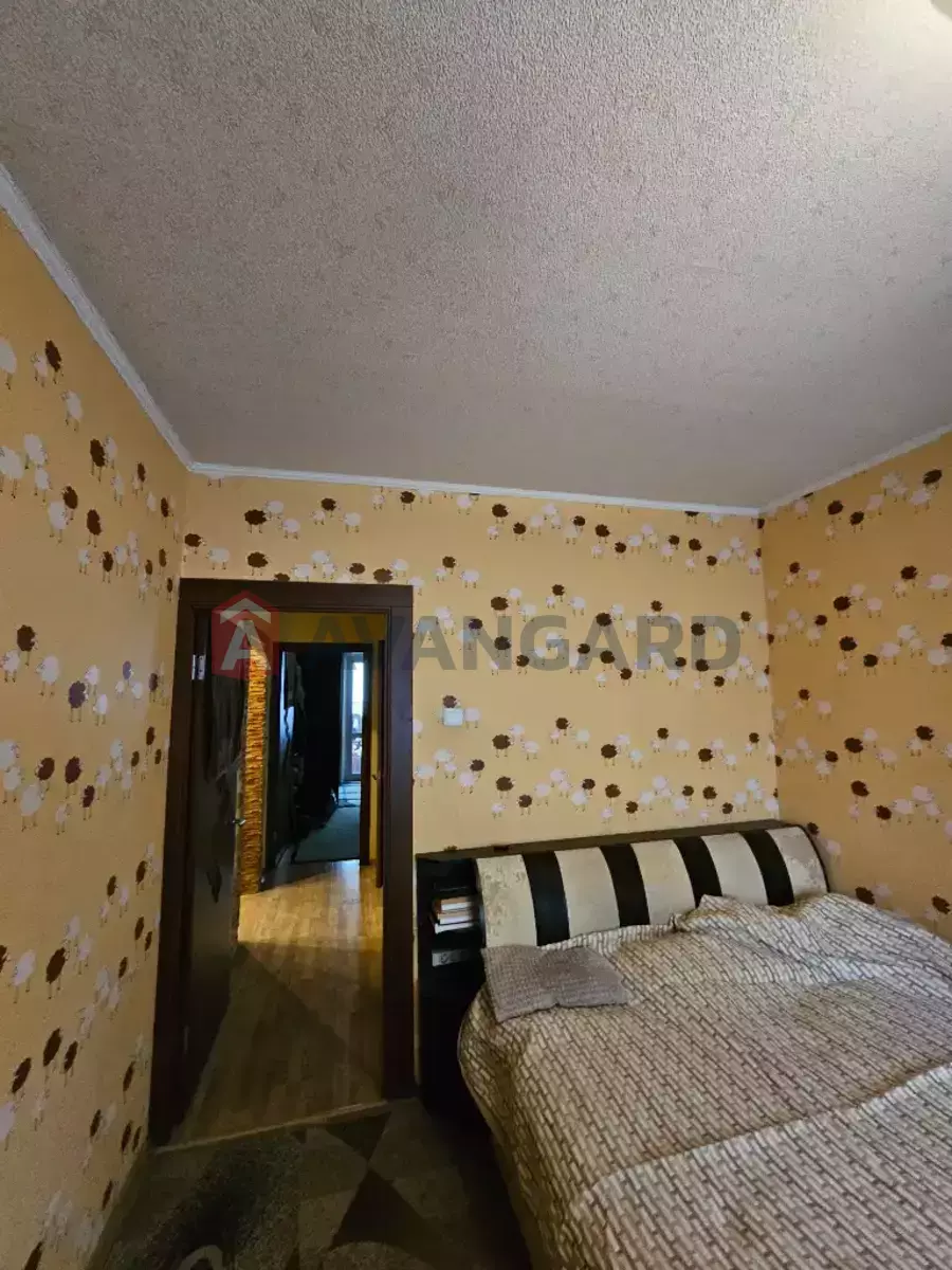 3 . , 65/38/10 . ., 6/9   10