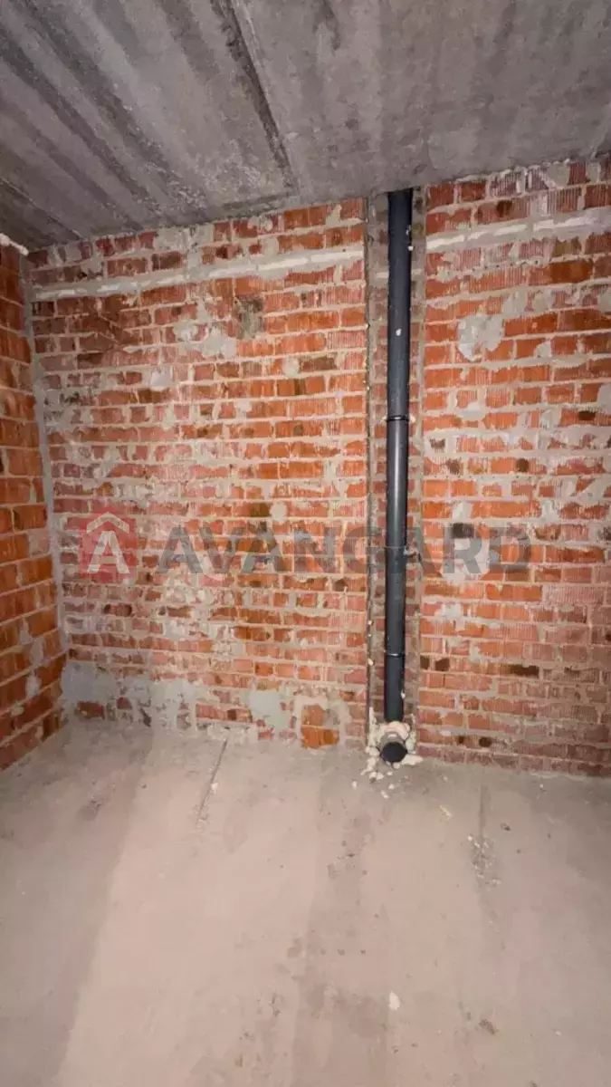 3 ��. ��������, 79/-/- ��. �., 5/9 ������ ���� 12