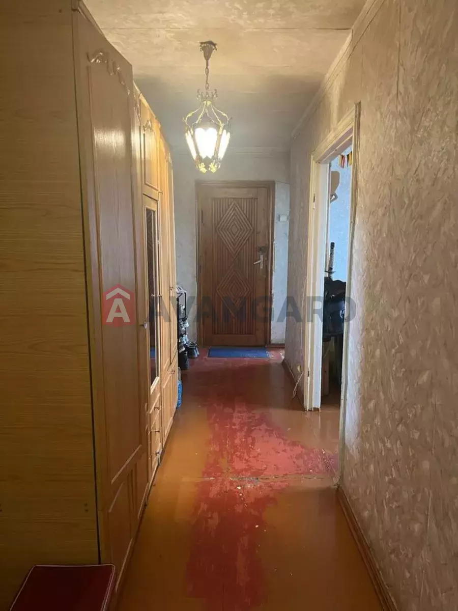 3 ��. ��������, 67/-/9 ��. �., 7/9 ������ ���� 5