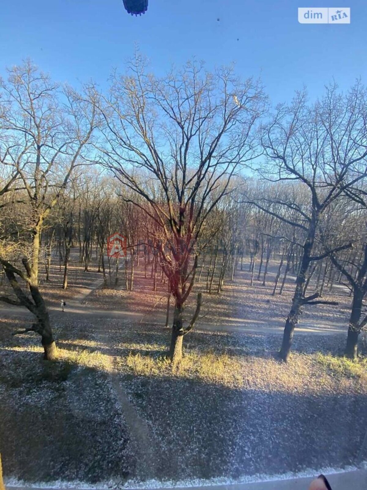 1 ��. ��������, 46/-/- ��. �., 5/11 ������ ���� 12