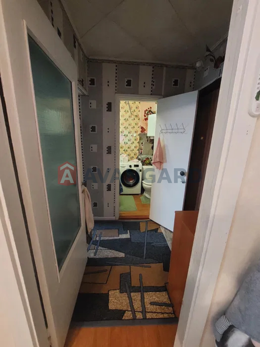 1 ��. ��������, 29/-/6 ��. �., 8/10 ������ ���� 5