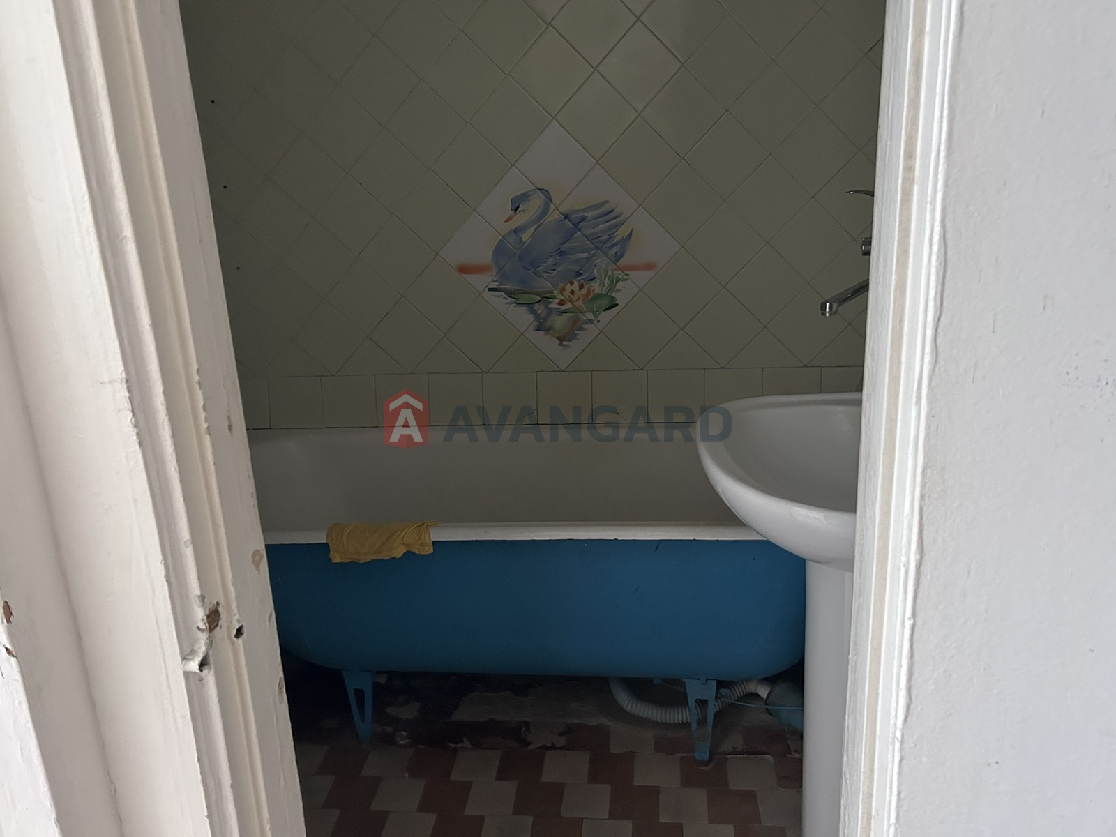 3 ����. ��������, 69/39/8 ��. �., 5/5 ���� ���� 7