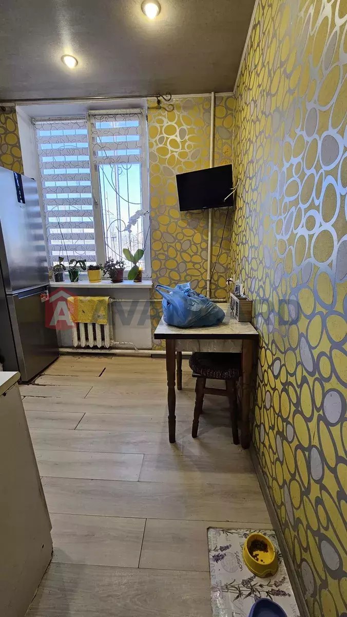 2 ��. ��������, 50/-/8 ��. �., 1/2 ������ ���� 4