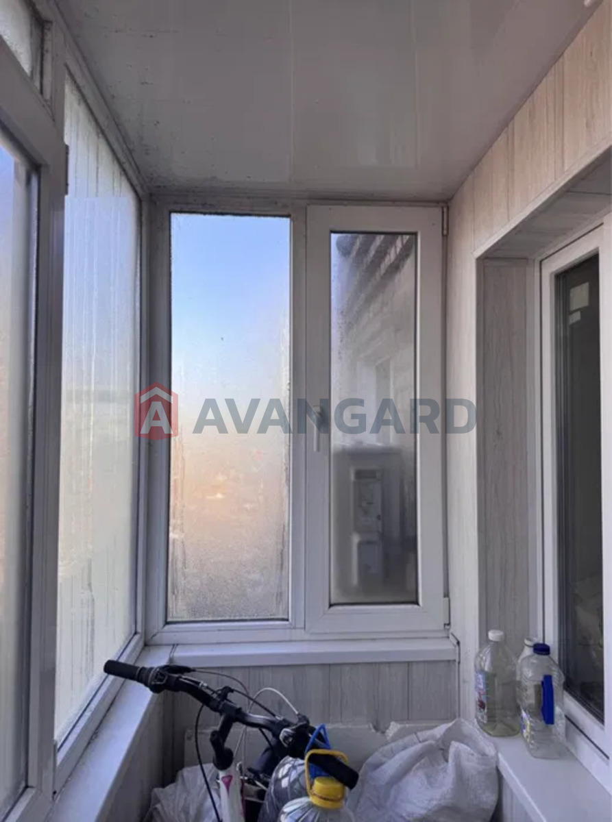 3 ��. ��������, 62/-/6 ��. �., 5/5 ������ ���� 6